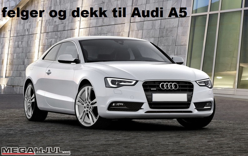 felger-og-dekk-audi-a5